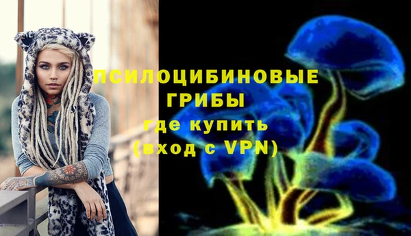 ALPHA-PVP Карталы
